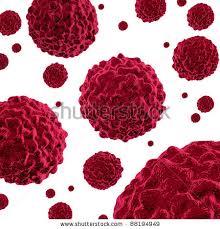 سلول های شبه بنیادی پیرامون تومور در رشد عروق خونی و تغذیه تومور نقش دارند