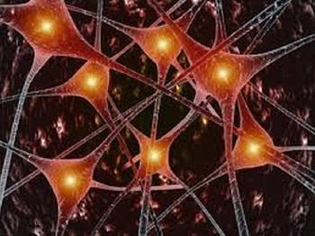 طی تشکیل سلول عصبی، اکتین برای تنظیم ژنوم حیاتی است