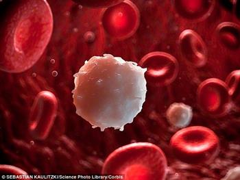 پروتئین p38 عامل تنظیم کننده عروق خونی جدید در تومورها 