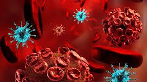 مبارزه با سلول های سرطانی مقاوم خون 