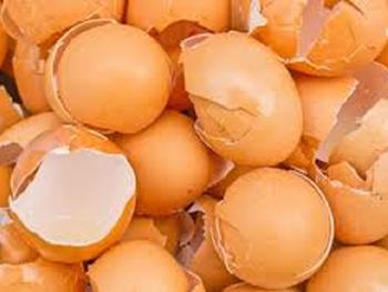 پوسته تخم مرغ می تواند به رشد و بهبودی استخوان کمک کند