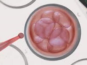 تولید سلول های بنیادی جنینی از پوست