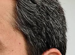 یافته هایی که می توانند به شناسایی درمان های جدید برای طاسی و خاکستری شدن مو کمک کنند