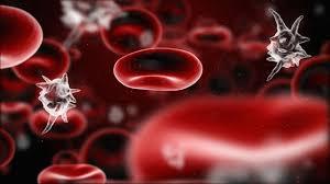نقص عملکرد مسیرهای پیام رسانی سبب سرکوب بلوغ سلول های خونی مقابله کننده با بیماری سپسیس می شود