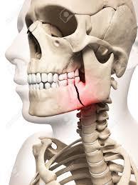 استفاده از سلول های بنیادی برای نواقص و آسیب های سر و دهان