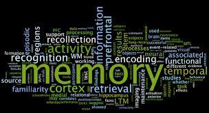بازسازی حافظه با استفاده از سلول های بنیادی عصبی