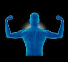 شناسایی اولین گام ها در بازسازی عضلات