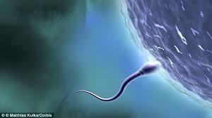 افت شدید سطح اسپرم در مردان: یک واقعیت
