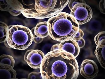 پژوهشی جدید روی موتاسیون های سلول های بنیادی پرتوان می تواند به بهبود پزشکی بازساختی منتهی شود