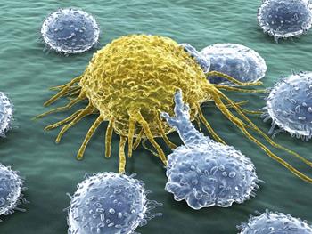 اثر سلول های T خاطره مشتق از بافت در اختلال پیوند سلول های بنیادی