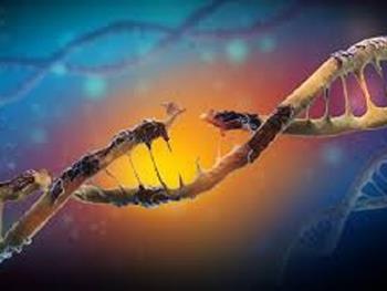 آسیب DNA بازبرنامه ریزی به سلول های بنیادی را شروع می کند 