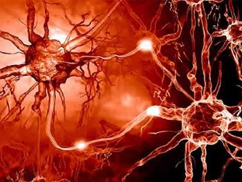 دستاوردهای جدید در تولید سلول های عصبی از سلول های بنیادی پرتوان انسانی