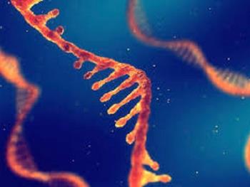 استفاده از ویرایش RNA مصنوعی برای احیای کد ژنتیکی