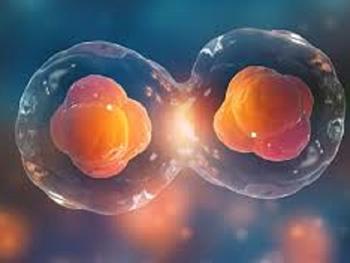 فشرده سازی فیزیکی سلول ها موجب رشد و تقسیم سریع تر آن ها می شود