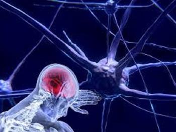 استفاده از فناوری human-on-a-chip برای مطالعه بر روی بیماری ALS