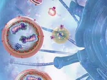 دخالت آنزیم SSH1 در دفع زباله های سلولی و بروز مرگ سلولی