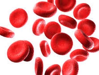 تولید سلول های بنیادی خون ساز در آزمایشگاه