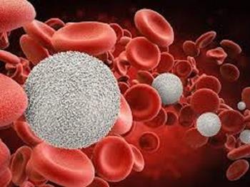 روشی موثر برای پیوند سلول های بنیادی و درمان بیماری های خونی
