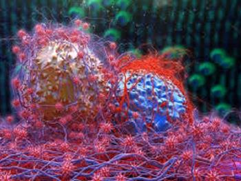 مطالعه بر روی سلول های بنیادی سرطانی با کمک فناوری سلول های بنیادی پرتوان القایی