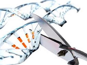نتایج اولیه درمان ویرایش ژنومیCRISPR، امیدوار کننده در اولین کارآزمایی انسانی