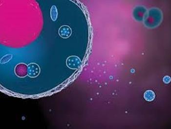 راهی برای افزایش تولید سکرتوم توسط سلول های بنیادی
