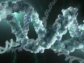 نقش ژنی حیاتی برای رشد سارکومای یوئینگ