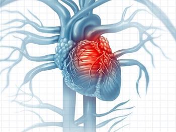 سلول هایی که به بهبودی آسیب قلبی بعد از انفارکتوس کمک می کنند