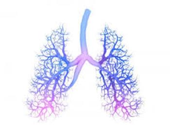 مینی ریه های آزمایشگاهی اثرات COVID بر ریه ها را به خوبی تقلید می کنند