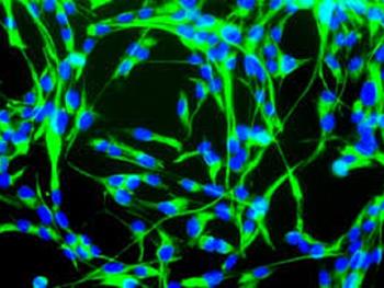 نورون های انتریک مشتق از سلول های بنیادی سیتغ عصبی