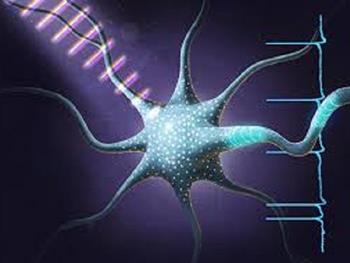 سلول های عصبی به عملکرد سازه های اسکلتی عضلانی زیست پرینت شده سه بعدی سرعت می بخشند