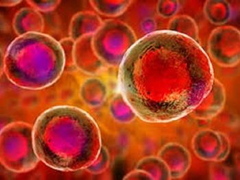 حمایت فعالانه از تحقیقات سلول های بنیادی می تواند کلیدی برای درمان بیماری های مزمن لاعلاج باشد