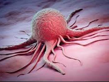 یافته محققان در زمینه دلیل نامیرایی سلول های سرطانی