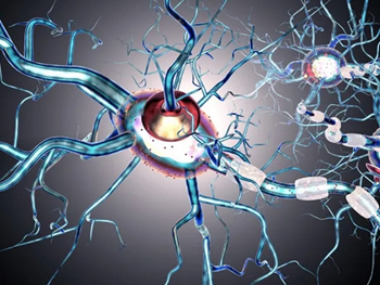 نتایج سلول درمانی بیماری‌های مخرب عصبی MS و ALS  