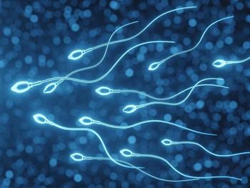 تولید همیشگی اسپرم با کمک سلول‌های بنیادی