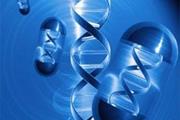 رگ های خونی تومورها، هدف ژن درمانی