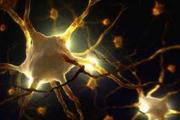 تبدیل سلول های پوستی به نورون های حس کننده درد(درد در ظروف آزمایشگاهی!)