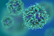 بازبرنامه ریزی سلول های T برای حمله کردن به تومورهای توپر(جامد)