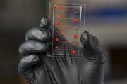 سیستم های organ-on-a-chip سه بعدی، به پژوهش ها در زمینه درمان بیماری های مختلف سرعت می بخشند