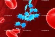 پلاکت ها ایمنی سلول های T علیه سرطان را سرکوب می کنند