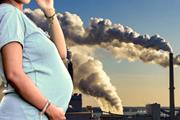 آلودگی هوا می‌تواند با تأثیر بر بیان ژن‌های جفت  به جنین آسیب برساند