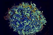چگونگی یافتن اهداف توسط سلول‌های ایمنی 