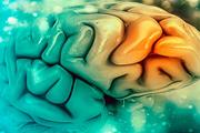 جوان سازی مغز مبتلا به آلزایمر