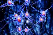 ترمیم نورون‌ها در آسیب نخاعی به کمک داروی کلسترول 