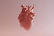 زیست پرینت سه بعدی قلب انسان