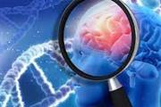 نقش ژنتیک در تجمع آمیلوئید بتا در مغز