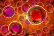 سلول های بنیادی: دیدگاه های جدید در مورد پزشکی بازساختی