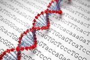 پروژه ژنوم انسان با شناسایی حدود 100 ژن جدید پایان یافت 