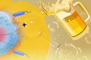 تاثیر مصرف الکل بر بیان DNA  سلول‌های بنیادی مغزاستخوان