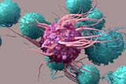 سیگنال‌های ریزمحیطی تومور، با تغییر ساختار کروماتین، پتانسیل عملکردی سلول‌های T خسته را محدود کنند.
