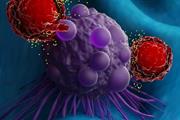 درمان بیماران مولتیپل میلوما با CAR T-cell به نژاد وابستگی ندارد.